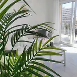 Berlin Playa - 아파트 *